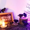 6 Pack Halloween Black Feathered Crows Realistic Party Home Decorations