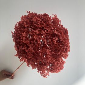 DIY Living Room Table Decoration Decoration Decoration Yongsheng Flower (Option: Brick Red-20 25cm)