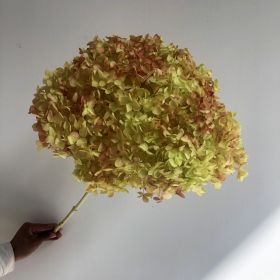 DIY Living Room Table Decoration Decoration Decoration Yongsheng Flower (Option: Red Green Gradient-20 25cm)