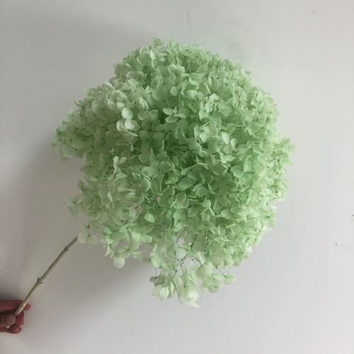 DIY Living Room Table Decoration Decoration Decoration Yongsheng Flower DIY Living Room Table Decoration Decoration Decoration Yongsheng Flower