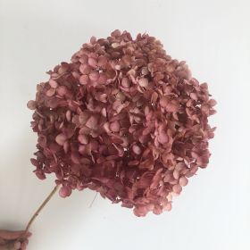 DIY Living Room Table Decoration Decoration Decoration Yongsheng Flower (Option: Color-20 25cm)